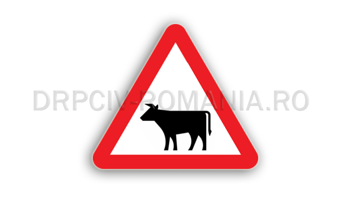 Animale