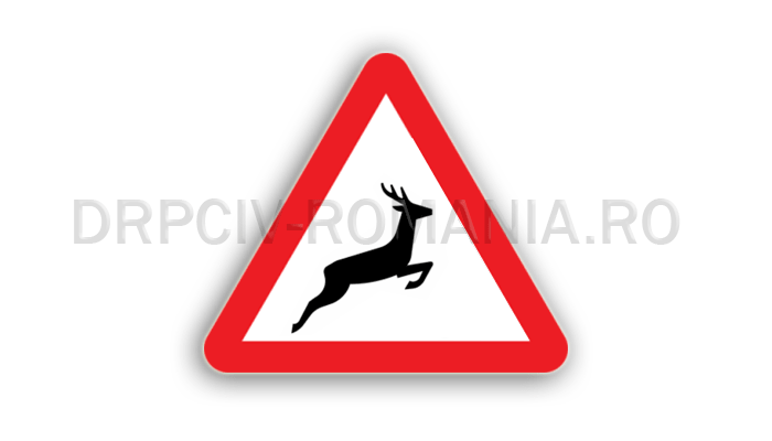 Animale