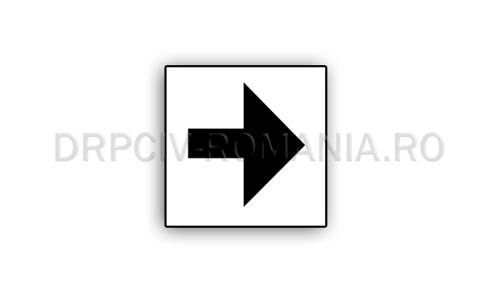 Sensul sau sensurile de circulaţie pentru care este valabilă semnificaţia semnalelor luminoase ale semaforului
